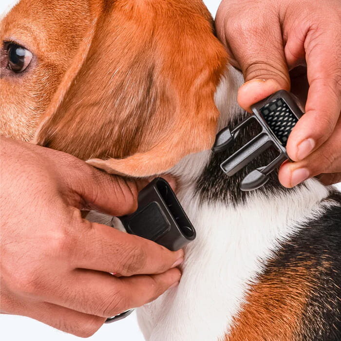 CartySavings image