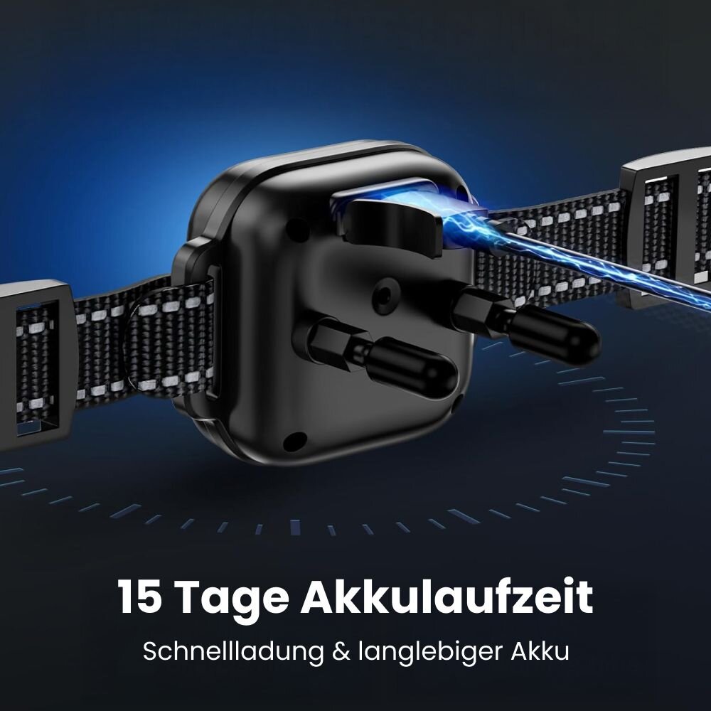 CartySavings image