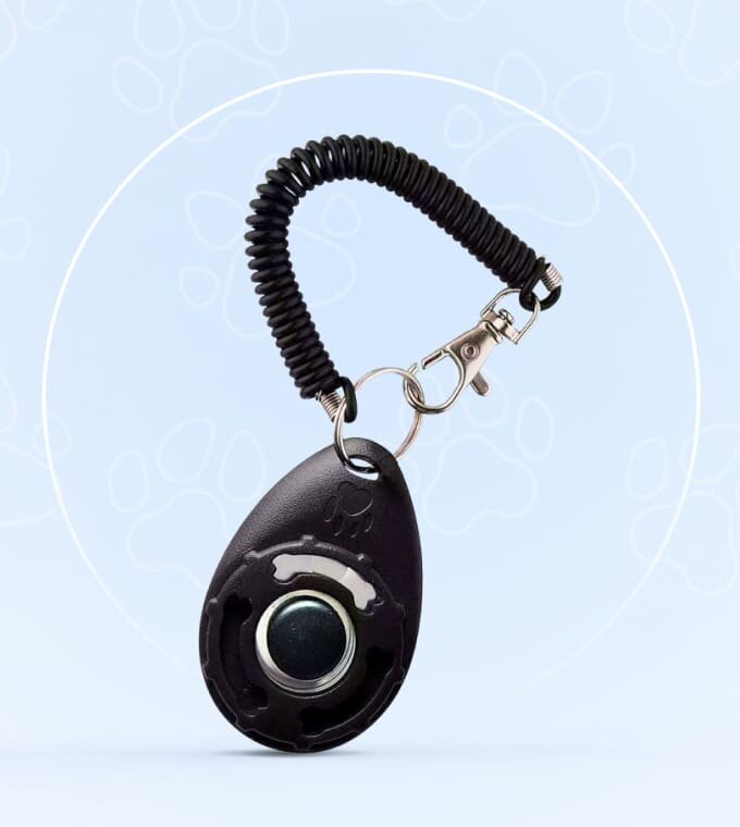 CartySavings image